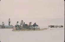 Arktyka i życie Eskimosów