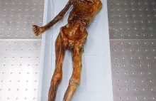 Zwłoki człowieka z lodowca Similaun (Ötzi) w HQ ok. 3300 lat p.n.e.