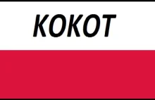 Czesi naśmiewają się Polskiej piosenki (Polská písnička pro děti [KOKOT)