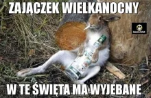 Zajączek...