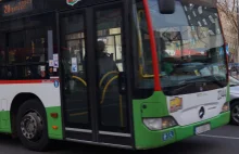 Kierowca autobusu zasłabł i wjechał na pas zieleni. W jego krwi wykryto kokainę