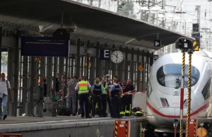 Tragedia na dworcu we Frankfurcie. Mężczyzna zepchnął matkę i dziecko pod pociąg