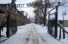 Żydowska gazeta : Mój wnuk odwiedził polskie obozy śmierci.