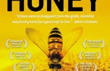 Oficjalny trailer filmu "More than Honey"