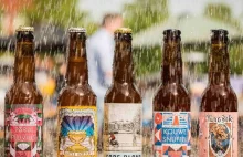 Amsterdam: browar produkuje piwo z deszczówki