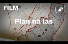 Plan na las - film edukacyjny