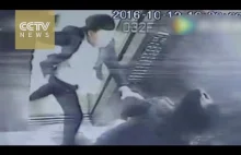 Chińczyk bije dziewczynę w windzie