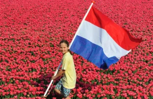 Holandia: Rząd ma pomysł na wzmocnienie tożsamości narodowej.