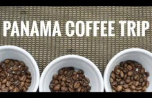 Panama Trip - podróż po panamskich uprawach kawy