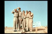 Pięciu ochotników w atomowej Strefie Zero