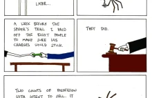 Jak zabiłem pająka ... [ PIC ]