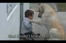 Sweet Mama Dog Interacting with a Beautiful Child with Down Syndrome. From...