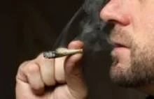 Dym z marihuany jednak mniej szkodliwy od papierosowego
