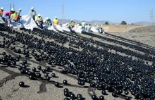 96 mln plastikowych piłeczek wrzucono do zbiorników retencyjnych w LA.