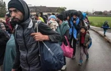 UdSC: coraz więcej cudzoziemców stara się w Polsce o azyl