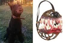 Muzzle For Walking Your Dog In The Dark
