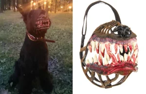 Muzzle For Walking Your Dog In The Dark