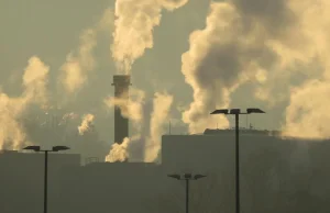 Nowe otwarcie w programie walki ze smogiem? Woźny forsuje pomysł Brukseli