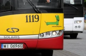 "Kierowca autobusu najechał na mnie z uśmiechem".