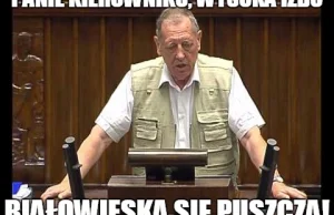 Szyszko: Lasy Państwowe sadzą około tysiąc drzew na minutę! Ktoś w to uwierzy?