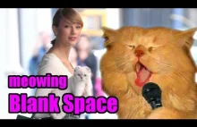 Squeal Cat śpiew Blank Space (cover Taylor Swift)