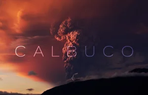 CALBUCO