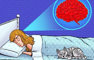 Niedobór snu sprawia, że mózg zaczyna się "zjadać".