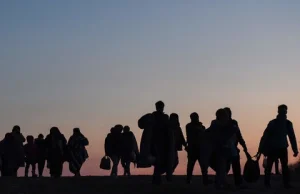 KURIOZUM: Sondaż IBRiS pokazuje, że aż 47,4% Polaków chce przyjęcia uchodźców