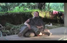 Słonie też lubią się przytulać