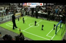 Finał Robocup 2011