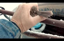 Dziadek uratował ptaka przed zamarznięciem