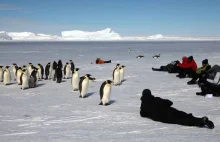 Odwiedź Antarktydę na Śnieżnym Safari