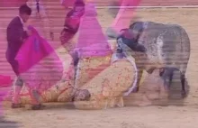Bullfighter Victor Barrio Fatally Gored on Spanish TV During Live Broadcast