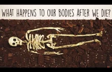 Co się dzieje z naszym ciałem po śmierci? [TED-ED] [ENG]