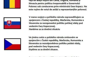 Niech nasi sojusznicy wiedzą, że Polacy się wstydzą hołoty jaką jest nasz rząd!