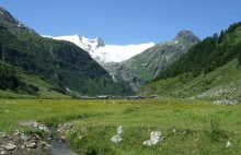 Rozwiązano zagadkę alpejskich lodowców