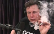 Elon Musk palił z jointa podczas wywiadu na żywo. Akcje Tesli spadły o 6 procent