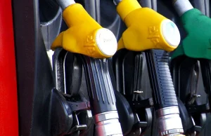 Poseł Dolata z przyjemnością informuje, że ceny paliwa pójdą w górę