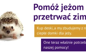 Kup deskę - pomoż jeżom przetrwać zimę