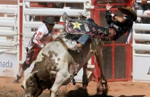 Rodeo w spółkach Skarbu Państwa trwa. PiS wymienia swoich na swojszych