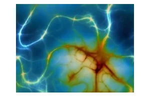 Astrocyty kontrolują neurogenezę