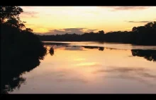 Amazonka - największa rzeka świata.