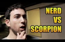 Mortal Kombat: Nerd vs Scorpion