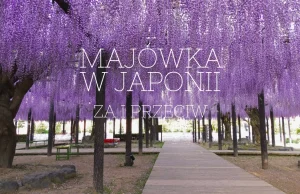 Majówka w Japonii- czy napewno warto?