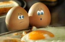 : Niezłe jaja? Czy jajka naprawdę są takie złe w codziennej diecie?