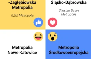 Metropolia wybiera swoją nazwę na Facebooku