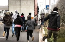 Władze Calais kapitulują i proszą o pomoc wojsko!