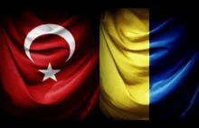 Turcja wobec rosyjskiej interwencji wojskowej na Krymie