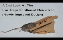 Pułapka na mysz z kartonu. Wielokrotnego użycia łatwa do zastawienia.