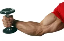Sylwetka Idealna: Biceps nie rosnie ? Pomożemy!
